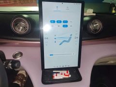 BYD Dolphin 420km Freedom Edition - ფოტო 9