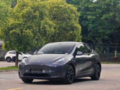 Tesla Model Y Long Range All-Wheel Drive - ფოტო 1