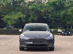 Tesla Model Y Long Range All-Wheel Drive - ფოტო 2