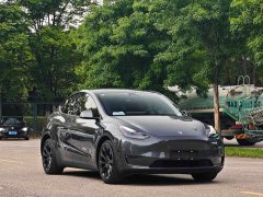 Tesla Model Y Long Range All-Wheel Drive - ფოტო 3