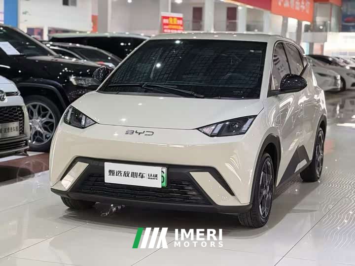 BYD Seagull Glory Edition 305km Freedom Version - ავტომობილი ჩინეთიდან