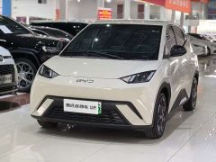 BYD Seagull Glory Edition 305km Freedom Version - ფოტო 1
