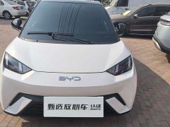 BYD Seagull Glory Edition 305km Freedom Version - ფოტო 11