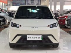 BYD Seagull Glory Edition 305km Freedom Version - ფოტო 2
