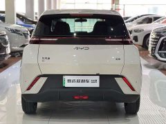 BYD Seagull Glory Edition 305km Freedom Version - ფოტო 3