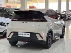 BYD Seagull Glory Edition 305km Freedom Version - ფოტო 4