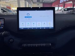 BYD Seagull Glory Edition 305km Freedom Version - ფოტო 9