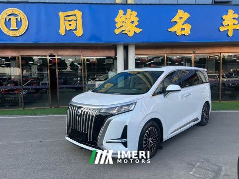 2023 Denza BYD Denza D9 2022 EV 600 AWD Flagship - ავტომობილი ჩინეთიდან