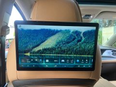 Denza BYD Denza D9 2022 EV 600 AWD Flagship - ფოტო 14