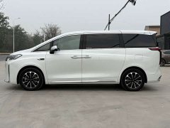 Great Wall WEY Shanshan New Energy 2023 Four-Wheel Drive Luxury Edition - ფოტო 10