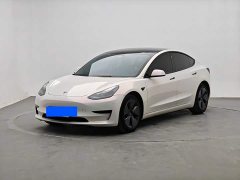 Tesla Model 3 2022 Rear-Wheel Drive - ფოტო 1