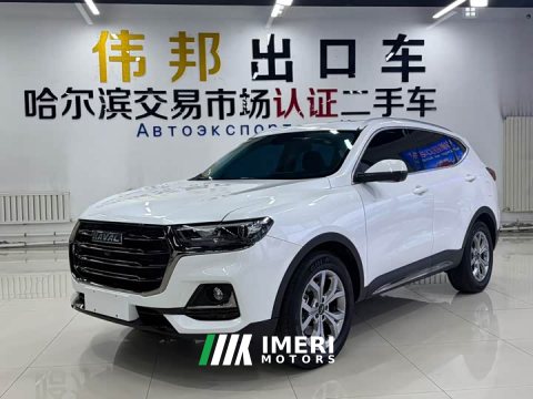 2022 Haval H6 2021 1.5T Automatic Champion Edition - ავტომობილი ჩინეთიდან