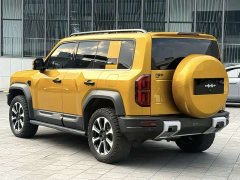 Fangchengbao Leopard 5 Navigator Edition - ფოტო 8