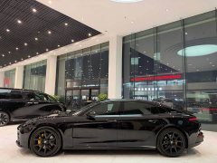 Porsche Panamera Executive Extended Wheelbase 2.9T - ფოტო 10