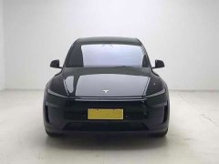 Tesla Model Y L 2025 Long Range All-Wheel Drive - ფოტო 2