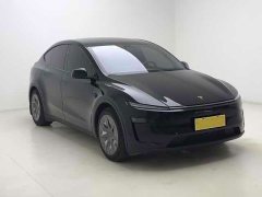 Tesla Model Y L 2025 Long Range All-Wheel Drive - ფოტო 3