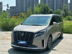 Buick GL8 ES Luxun Luxury Edition - ფოტო 1