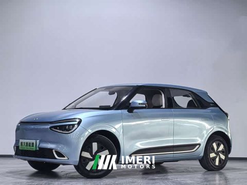 2024 Dongfeng Nanotech 01 330 Air - ავტომობილი ჩინეთიდან