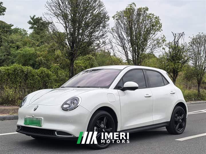 ORA Good Cat 401km Comfort Edition