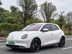 ORA Good Cat 401km Comfort Edition - ფოტო 1