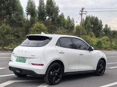 ORA Good Cat 401km Comfort Edition - ფოტო 6