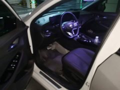 Buick Verano Pro GS Hunting Wind Edition - ფოტო 9