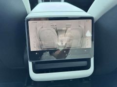 Tesla Model Y Rear-Wheel Drive - ფოტო 14