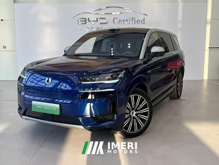 Denza N9 Premium Edition - ავტომობილი ჩინეთიდან