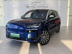 Denza N9 Premium Edition - ფოტო 1