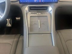 Denza N9 Premium Edition - ფოტო 13