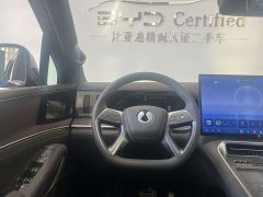 Denza N9 Premium Edition - ფოტო 7