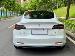 Tesla Model 3 Rear-Wheel Drive - ფოტო 9