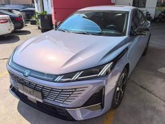 Changan Yiyong Fourth Generation 1.5T 500Bar Deluxe Edition - ფოტო 1