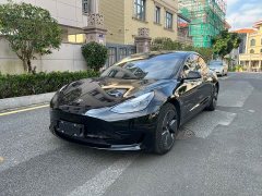 Tesla Model 3 Facelift Standard Range RWD Upgrade 3D1 - ფოტო 1