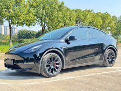 Tesla Model Y Long Range All-Wheel Drive - ფოტო 1