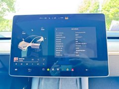 Tesla Model Y Long Range All-Wheel Drive - ფოტო 10