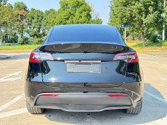 Tesla Model Y Long Range All-Wheel Drive - ფოტო 13