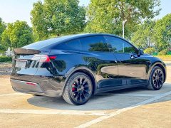 Tesla Model Y Long Range All-Wheel Drive - ფოტო 14