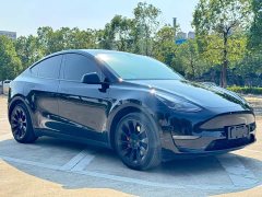 Tesla Model Y Long Range All-Wheel Drive - ფოტო 3