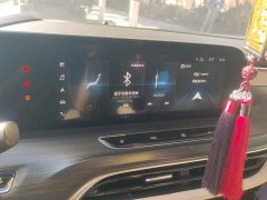 Buick GL8 ES Land Respect 653T Premier - ფოტო 13