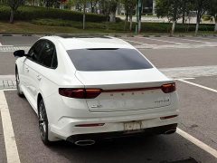 Geely Xingrui 2.0T Diesel Luxury - ფოტო 10
