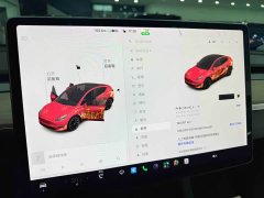 Tesla Model Y Long Range All-Wheel Drive - ფოტო 11