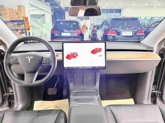 Tesla Model Y Long Range All-Wheel Drive - ფოტო 8