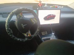 Tesla Model Y Rear-Wheel Drive - ფოტო 12