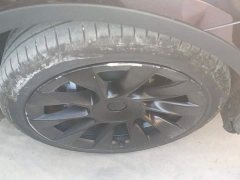 Tesla Model Y Rear-Wheel Drive - ფოტო 6