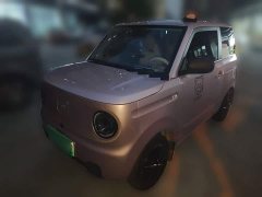 Geely Panda Mini 200km Endurance Edition - ფოტო 1