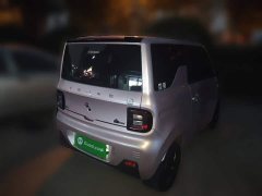 Geely Panda Mini 200km Endurance Edition - ფოტო 4