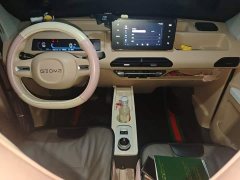 Geely Panda Mini 200km Endurance Edition - ფოტო 5