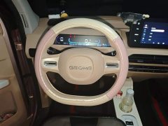 Geely Panda Mini 200km Endurance Edition - ფოტო 6