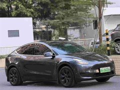 Tesla Model Y Rear-Wheel Drive - ფოტო 1